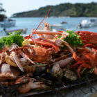 Plateau de fruits de mer royal - Les Viviers du bélon - Riec-sur-bélon