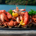 Plateau de fruits de mer royal - Les Viviers du bélon - Riec-sur-bélon