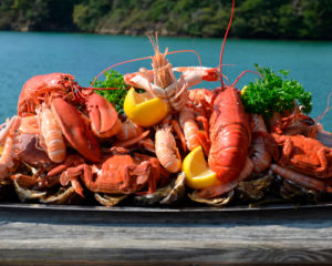 Plateau de fruits de mer royal - Les Viviers du bélon - Riec-sur-bélon